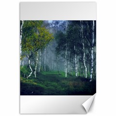 Birch Forest Nature Landscape Canvas 12  X 18  by Pakrebo