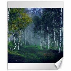 Birch Forest Nature Landscape Canvas 16  X 20  by Pakrebo