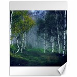 Birch Forest Nature Landscape Canvas 18  x 24  17.8 x23.08  Canvas - 1