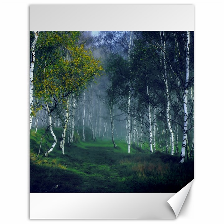 Birch Forest Nature Landscape Canvas 18  x 24 