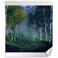 Birch Forest Nature Landscape Canvas 20  X 24  by Pakrebo