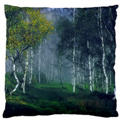 Birch Forest Nature Landscape Large Cushion Case (one Side) by Pakrebo