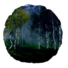 Birch Forest Nature Landscape Large 18  Premium Flano Round Cushions by Pakrebo