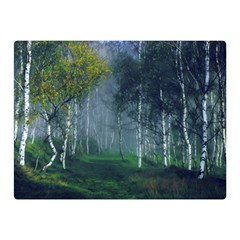 Birch Forest Nature Landscape Double Sided Flano Blanket (mini)  by Pakrebo