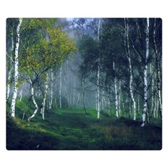 Birch Forest Nature Landscape Double Sided Flano Blanket (small)  by Pakrebo