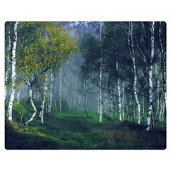 Birch Forest Nature Landscape Double Sided Flano Blanket (medium)  by Pakrebo