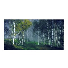 Birch Forest Nature Landscape Satin Wrap by Pakrebo