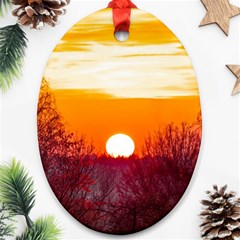 Sun Evening Sunset Sky Landscape Ornament (oval) by Pakrebo