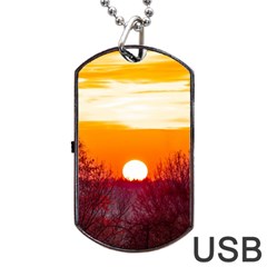 Sun Evening Sunset Sky Landscape Dog Tag Usb Flash (two Sides) by Pakrebo