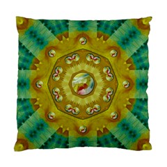 Mandala In Peace And Feathers Standard Cushion Case (two Sides) by pepitasart