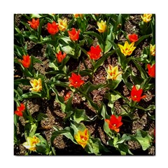 Tulips In April Tile Coasters by Riverwoman