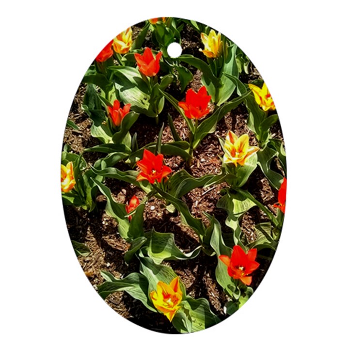 Tulips in April Oval Ornament (Two Sides)