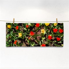 Tulips In April Hand Towel by Riverwoman