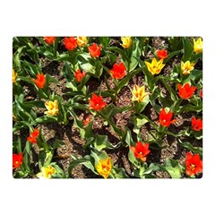 Tulips In April Double Sided Flano Blanket (mini)  by Riverwoman