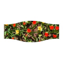 Tulips In April Stretchable Headband by Riverwoman