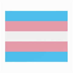 Transgender Pride Flag Small Glasses Cloth by lgbtnation