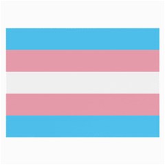 Transgender Pride Flag Large Glasses Cloth (2 Sides) by lgbtnation