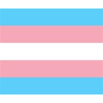 Transgender Pride Flag Deluxe Canvas 14  x 11  (Stretched) 14  x 11  x 1.5  Stretched Canvas