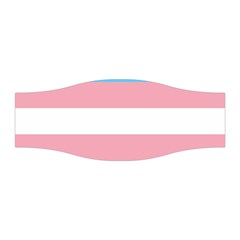 Transgender Pride Flag Stretchable Headband by lgbtnation