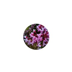 Redbud In April 1  Mini Buttons by Riverwoman