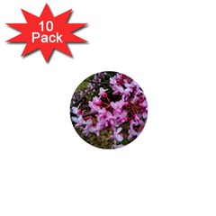 Redbud In April 1  Mini Buttons (10 Pack)  by Riverwoman