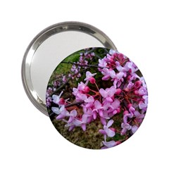 Redbud In April 2 25  Handbag Mirrors by Riverwoman