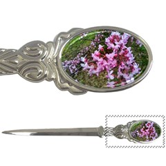 Redbud In April Letter Opener by Riverwoman