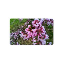 Redbud In April Magnet (name Card) by Riverwoman