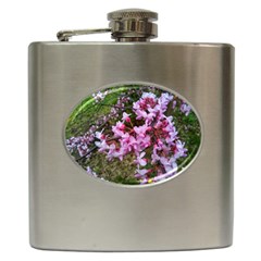 Redbud In April Hip Flask (6 Oz) by Riverwoman