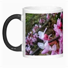 Redbud In April Morph Mugs by Riverwoman