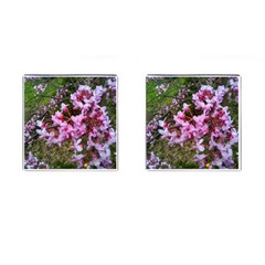 Redbud In April Cufflinks (square) by Riverwoman