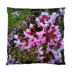 Redbud In April Standard Cushion Case (one Side) by Riverwoman