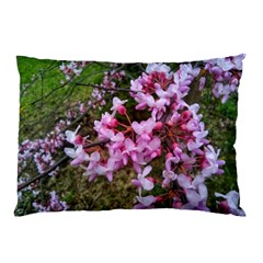 Redbud In April Pillow Case by Riverwoman