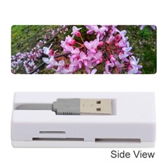 Redbud In April Memory Card Reader (stick) by Riverwoman