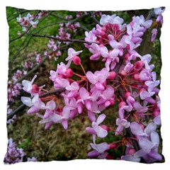 Redbud In April Large Cushion Case (one Side) by Riverwoman