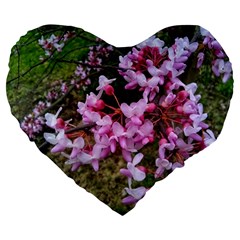 Redbud In April Large 19  Premium Heart Shape Cushions by Riverwoman