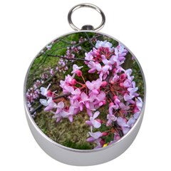 Redbud In April Silver Compasses by Riverwoman