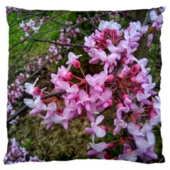 Redbud In April Standard Flano Cushion Case (two Sides) by Riverwoman