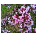 Redbud in April Double Sided Flano Blanket (Small)  50 x40  Blanket Front