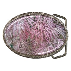 Fineleaf Japanese Maple In April Belt Buckles by Riverwoman