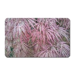 Fineleaf Japanese Maple In April Magnet (rectangular) by Riverwoman