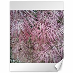 Fineleaf Japanese Maple In April Canvas 36  X 48  by Riverwoman