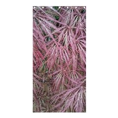 Fineleaf Japanese Maple In April Shower Curtain 36  X 72  (stall)  by Riverwoman