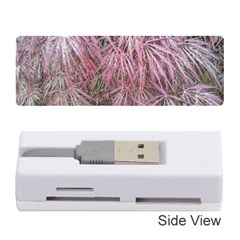 Fineleaf Japanese Maple In April Memory Card Reader (stick) by Riverwoman