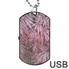 Fineleaf Japanese Maple In April Dog Tag Usb Flash (one Side) by Riverwoman