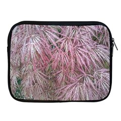 Fineleaf Japanese Maple In April Apple Ipad 2/3/4 Zipper Cases by Riverwoman