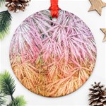 Fineleaf Japanese Maple highlights Ornament (Round) Front