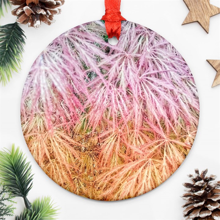 Fineleaf Japanese Maple highlights Ornament (Round)