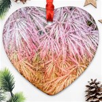 Fineleaf Japanese Maple highlights Ornament (Heart) Front