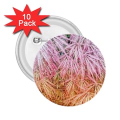 Fineleaf Japanese Maple Highlights 2 25  Buttons (10 Pack)  by Riverwoman